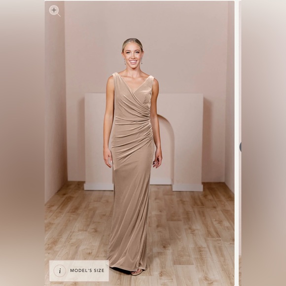 Revelry Dawson Velvet Dress Champagne Color Size 8 - Picture 1 of 9